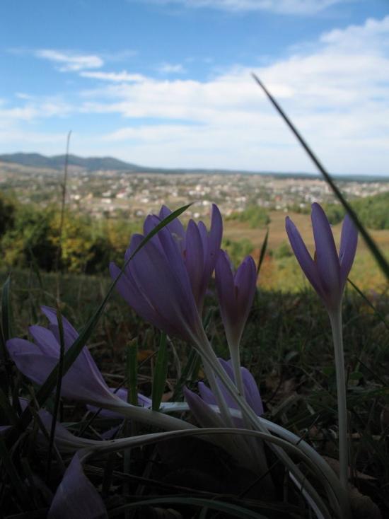 Красноїльськ з panoramio.com - Красноильск