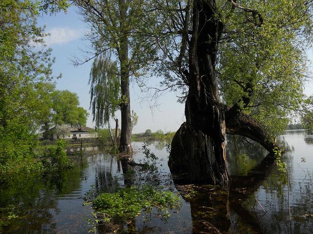 Дробишів з panoramio.com - Дробишів