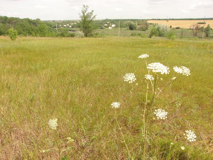 Новий Донбас з panoramio.com - Новий Донбас