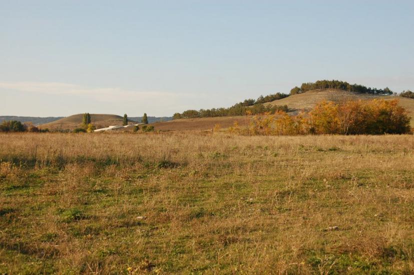 Дачне з panoramio.com - Дачное