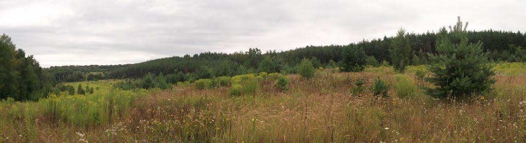 Пушкарівка з panoramio.com - Пушкарівка