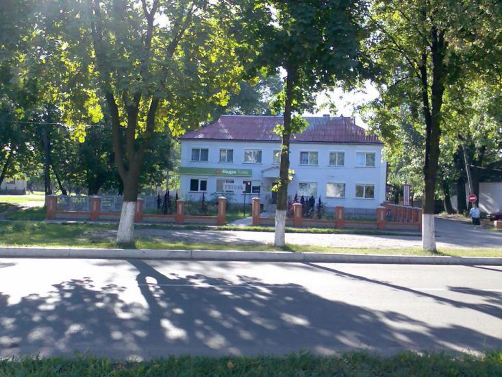 Буринь з panoramio.com - Бурынь