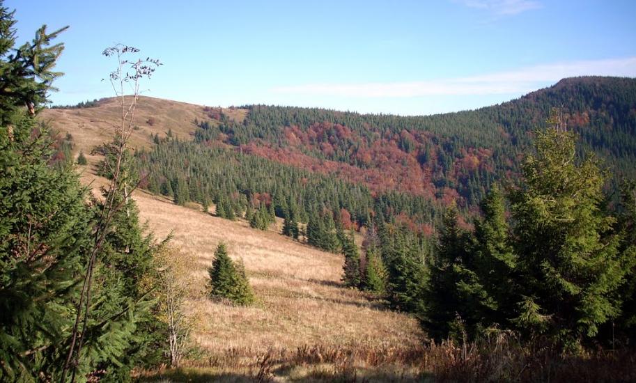 Кам'янка з panoramio.com - Каменка