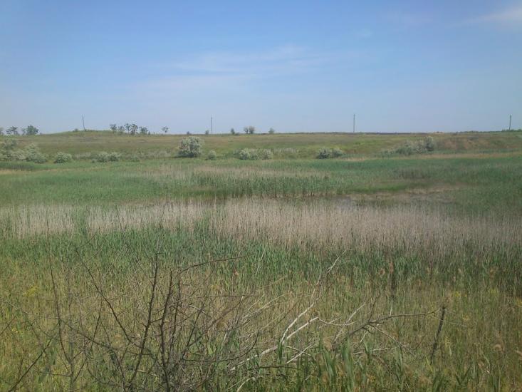 Хмельницьке з panoramio.com - Хмельницкое