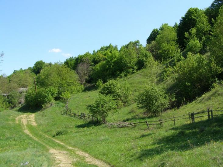 Черкасівка з panoramio.com - Cherkasivka