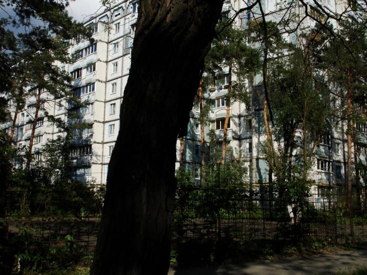 Княжичі з panoramio.com - Княжичі