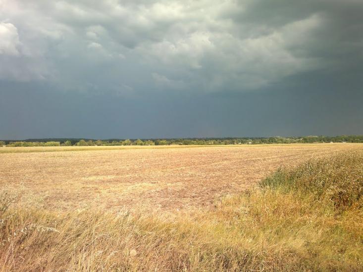 Сніжна з panoramio.com - Сніжна
