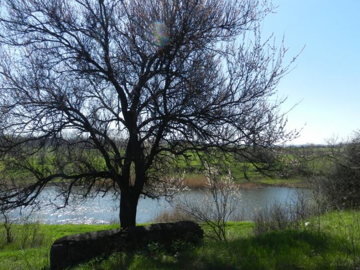 Стародобровільське з panoramio.com - Стародобровольское