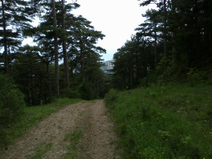 Відрадне з panoramio.com - Відрадне