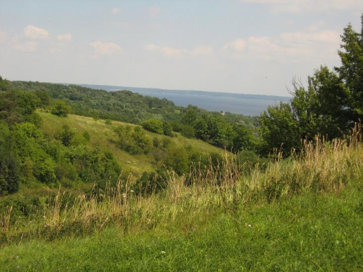 Григорівка з panoramio.com - Григорівка