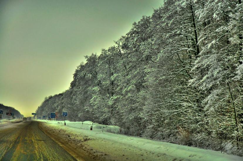 Великий Молодьків з panoramio.com - Великий Молодьків