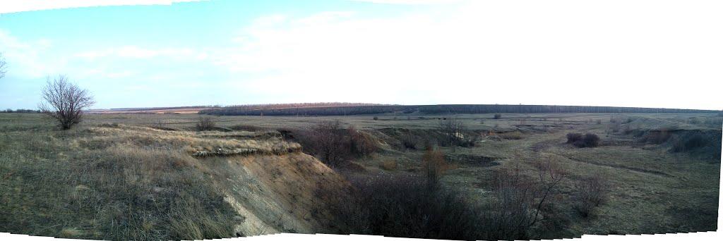 Данилівка з panoramio.com - Даниловка