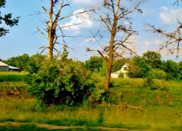 Медвин з panoramio.com - Медвин