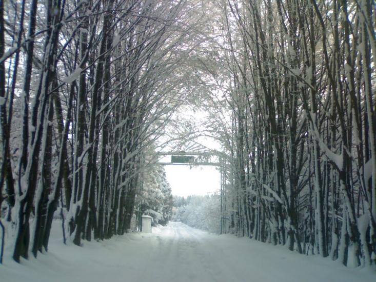 Красноїльськ з panoramio.com - Красноильск