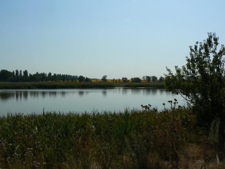 Новозлатопіль з panoramio.com - Новозлатопіль