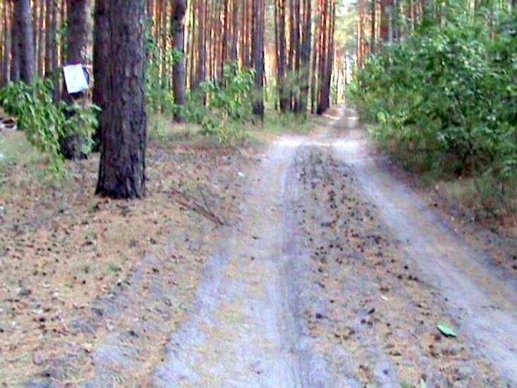 Зазим'я з panoramio.com - Зазимье