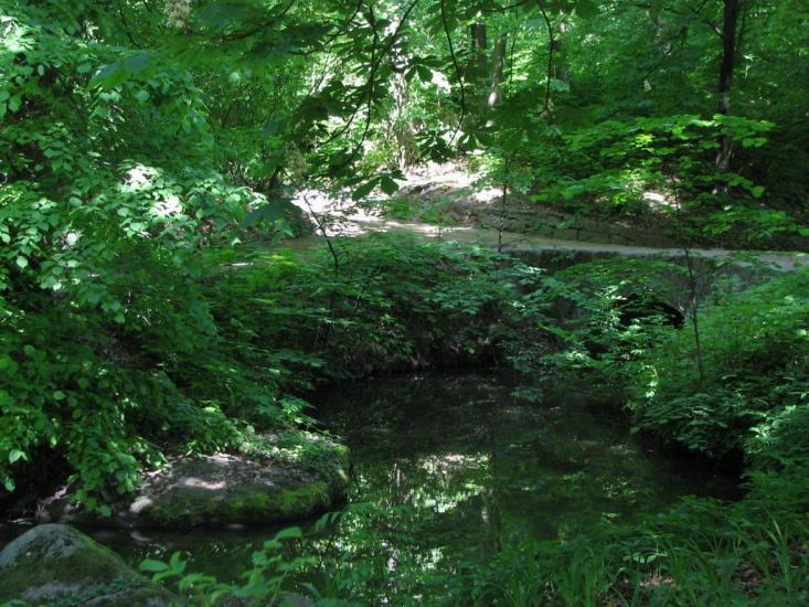 Городецьке з panoramio.com - Gorodetske
