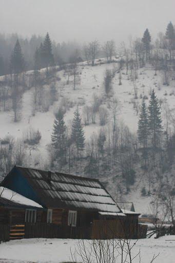Усть-Чорна з panoramio.com - Усть-Чорна