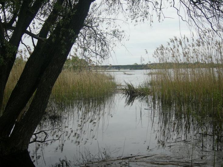 Кругляківка з panoramio.com - Кругляковка
