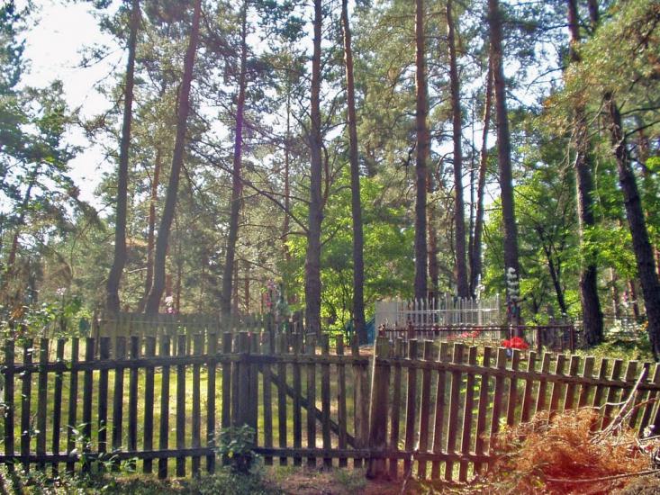 Вільхова з panoramio.com - Вільхова