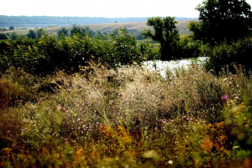 Новоукраїнка з panoramio.com - Новоукраинка