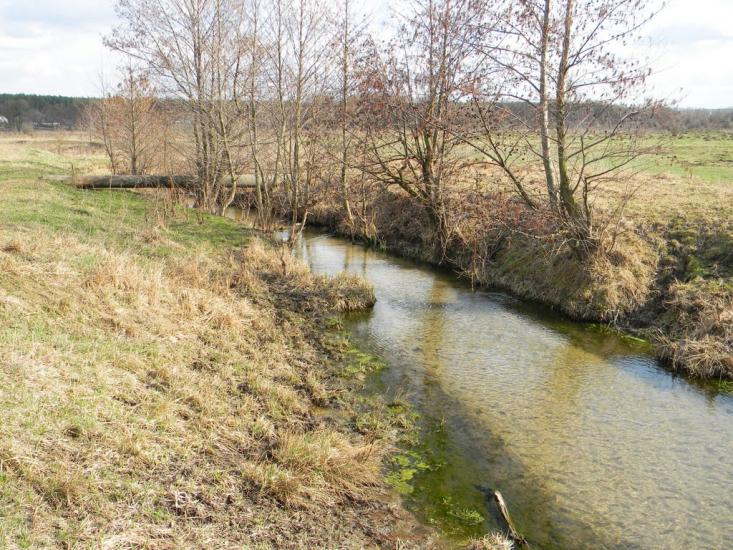 Бірки з panoramio.com - Бирки