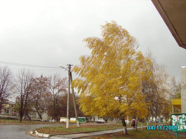 Хроли з panoramio.com - Хроли