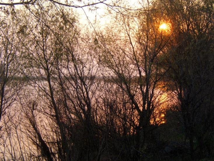 Пухівка з panoramio.com - Пуховка