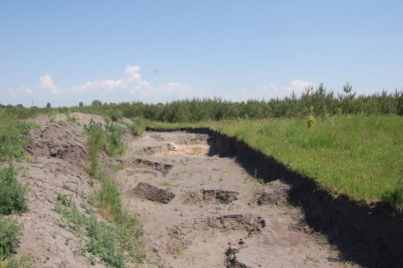 Набережне з panoramio.com - Набережное
