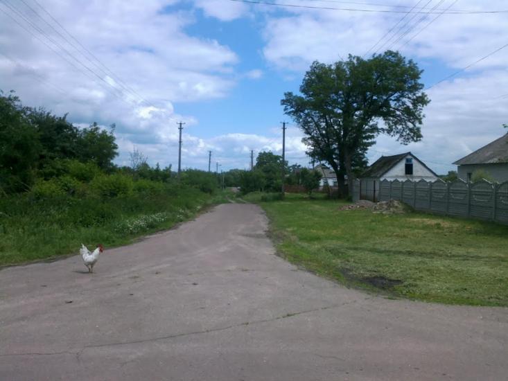 Засупоївка з panoramio.com - Засупоевка