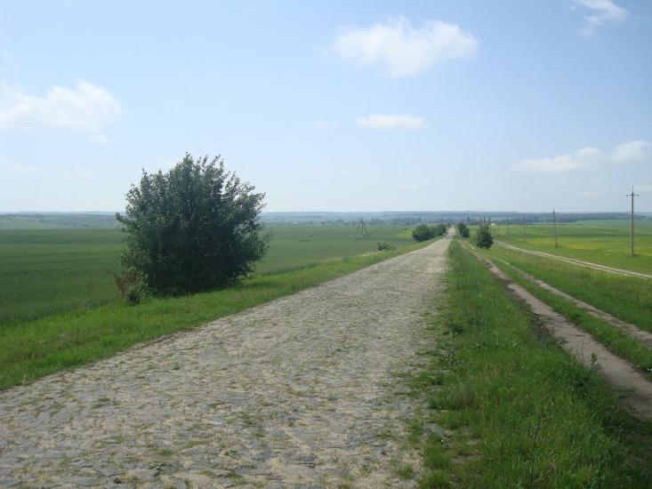 Черепова з panoramio.com - Черепова
