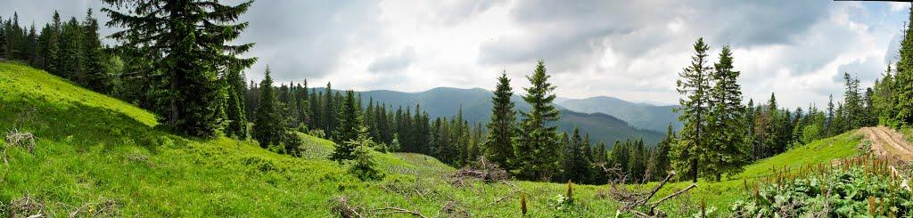 Кам'янка з panoramio.com - Каменка