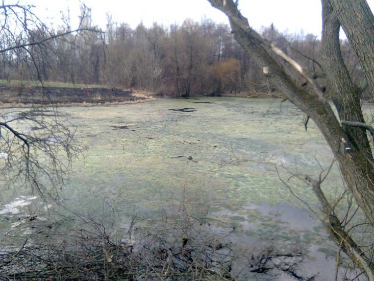 Краснопілка з panoramio.com - Краснополка
