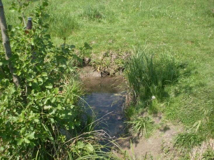 Карбівське з panoramio.com - Карбівське