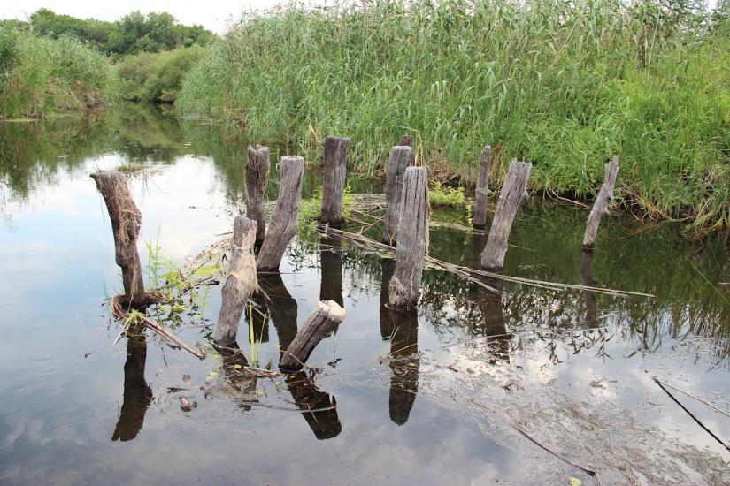 Котовка з panoramio.com - Котовка