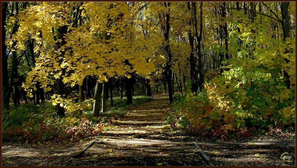 Прибузьке з panoramio.com - Прибугское
