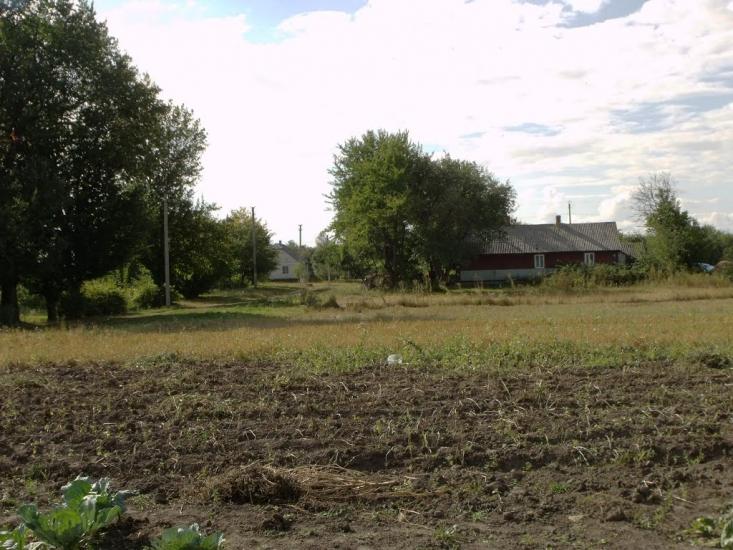 Стеблівка з panoramio.com - Стеблівка