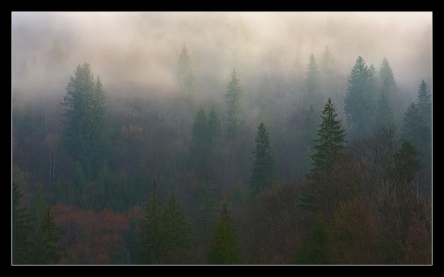 Красник з panoramio.com - Красник