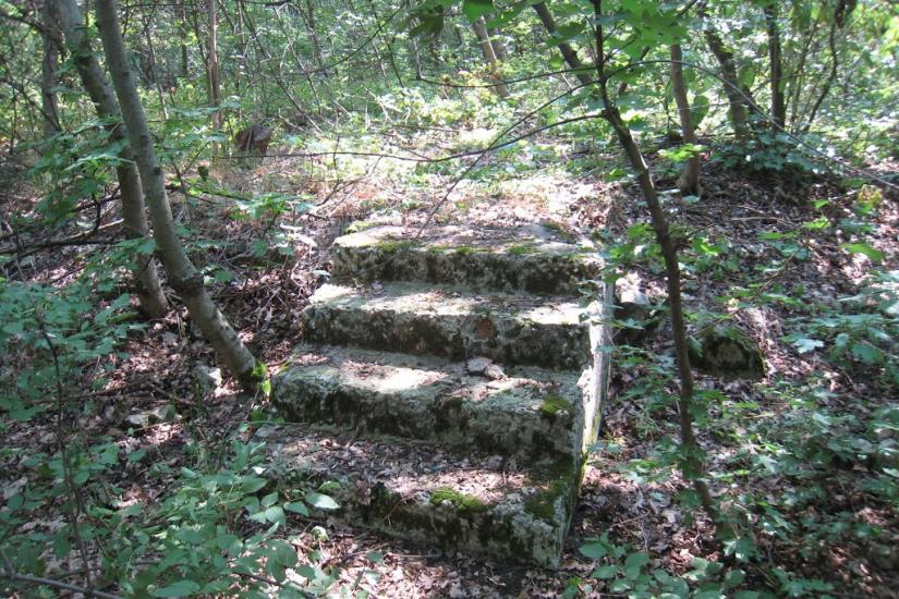 Ясинувата з panoramio.com - Ясиноватая