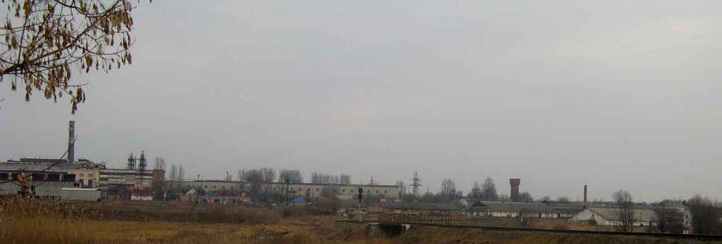 Мар'янівка з panoramio.com - Мар'янівка