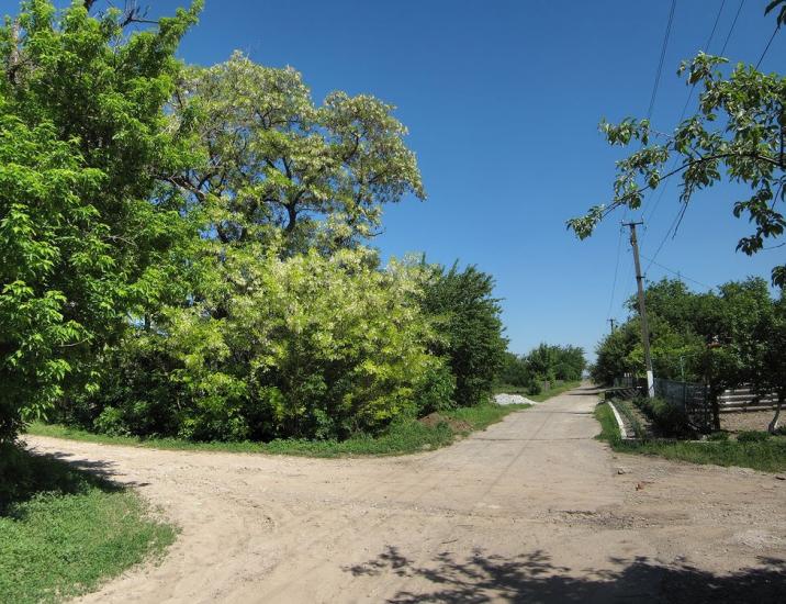 Миколаївка з panoramio.com - Миколаївка