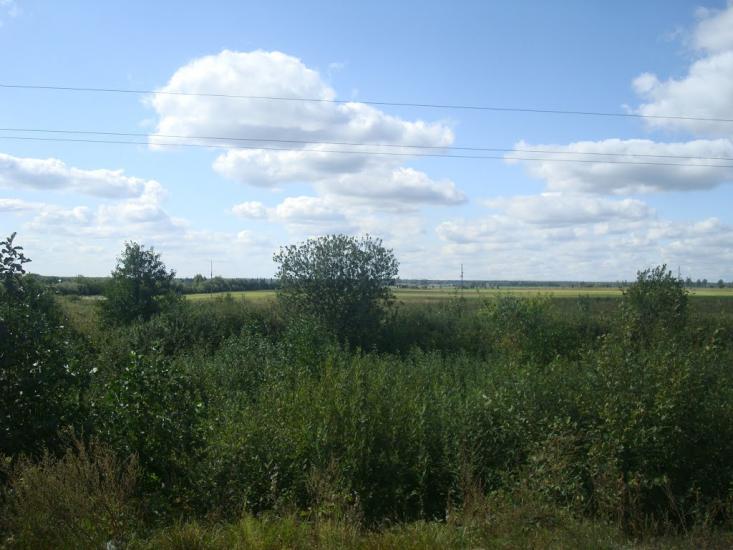 Михайлючка з panoramio.com - Михайлючка