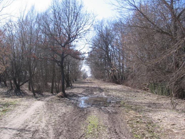 Малинівка з panoramio.com - Малиновка