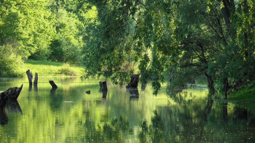 Бідряги з panoramio.com - Bidryagy