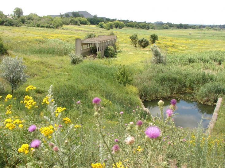 Ганнівка з panoramio.com - Анновка