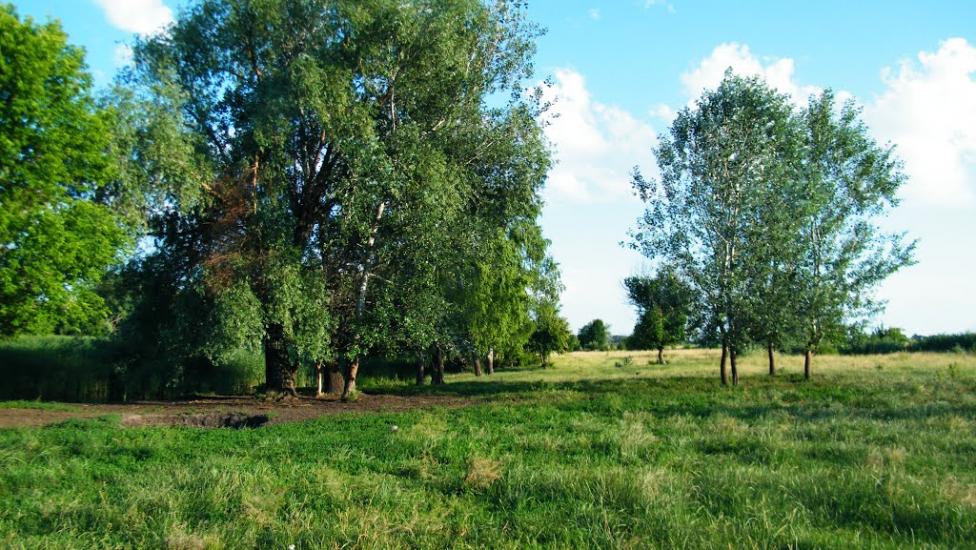 Пустовіти з panoramio.com - Пустовіти