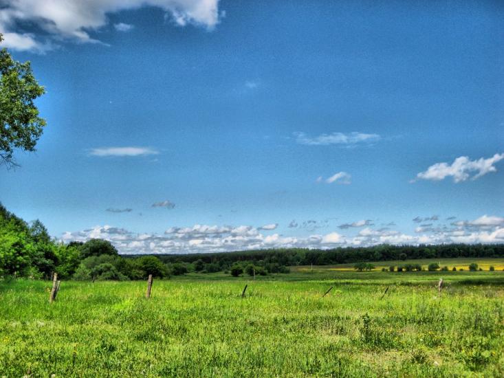 Озерне з panoramio.com - Озерне