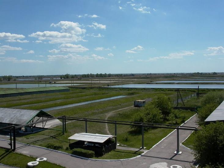 Дніпровське з panoramio.com - Дніпровське