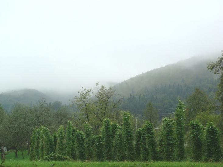 Прокурава з panoramio.com - Прокурава