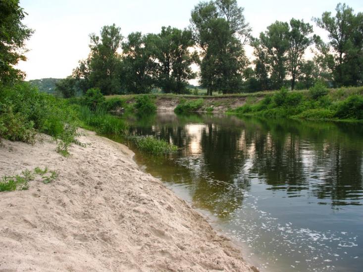 Глоди з panoramio.com - Глоды